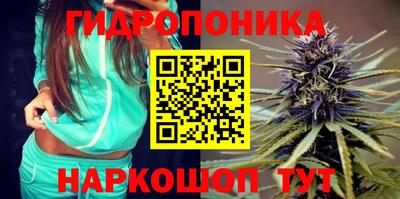 стаф Кимры