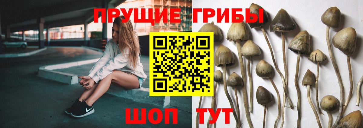 Псилоцибиновые грибы мухоморы  закладки  Иваново  Вход с VPN  Галлюциногенные грибы GOLDEN TEACHER 